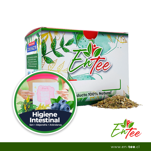 Infusión Detox Intestino - Sen, Alejandría y Arándano