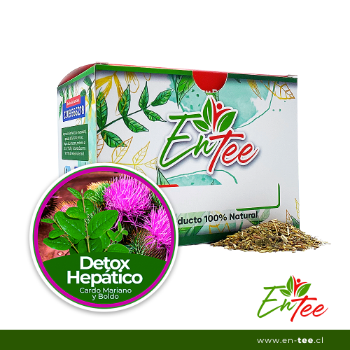 Infusión Detox Hepático - Cardo Mariano + Boldo