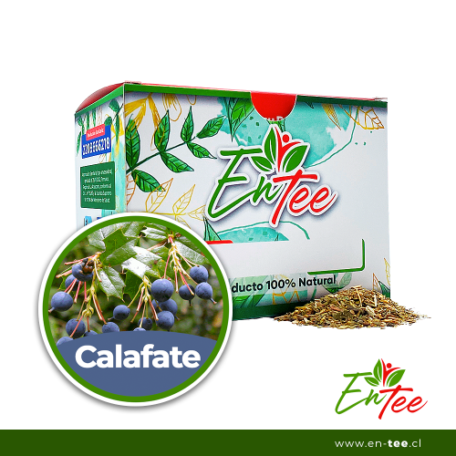 Infusión - Calafate