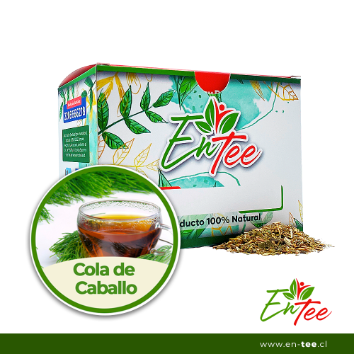 Infusión - Cola de Caballo