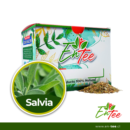 Infusión - Salvia
