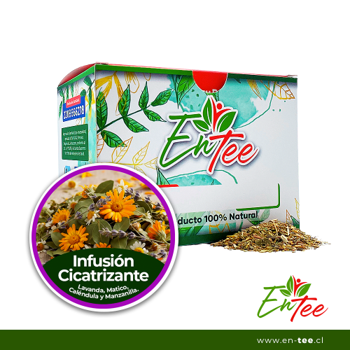 Infusión Cicatrizante - Lavanda, Matico, Caléndula y Manzanilla